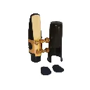 0310902558 - 2026-03-10T172109.194.webp