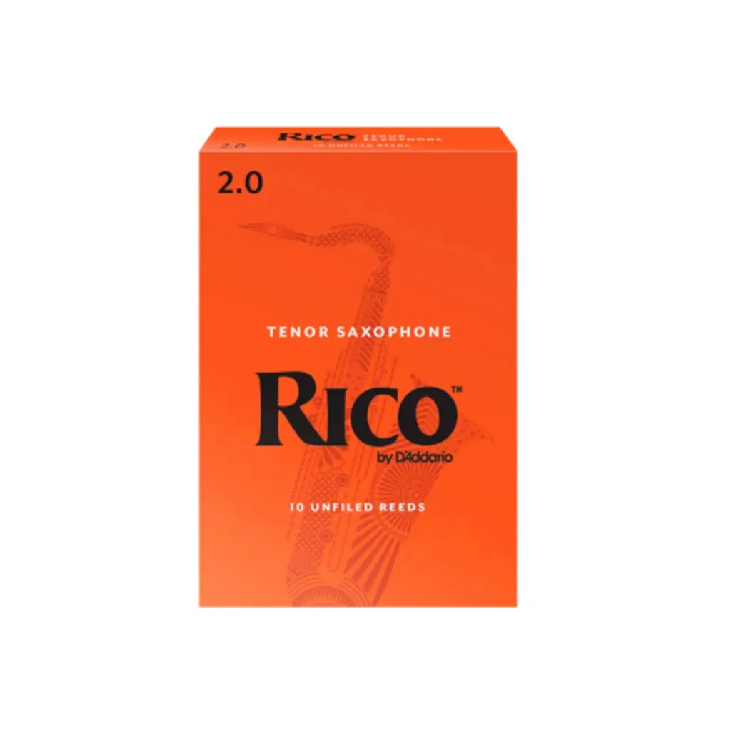 0310902558 - 2026-03-11T142653.384.webp