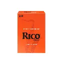 0310902558 - 2026-03-11T142653.384.webp