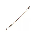 0310902558 - 2026-03-11T155705.013.webp