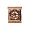 0310902558 - 2026-04-07T131630.596.webp