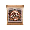 0310902558 - 2026-04-07T131901.664.webp