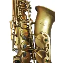 SAXOFON ALTO CON ESTUCHE SXMATT  (Distele) 3312