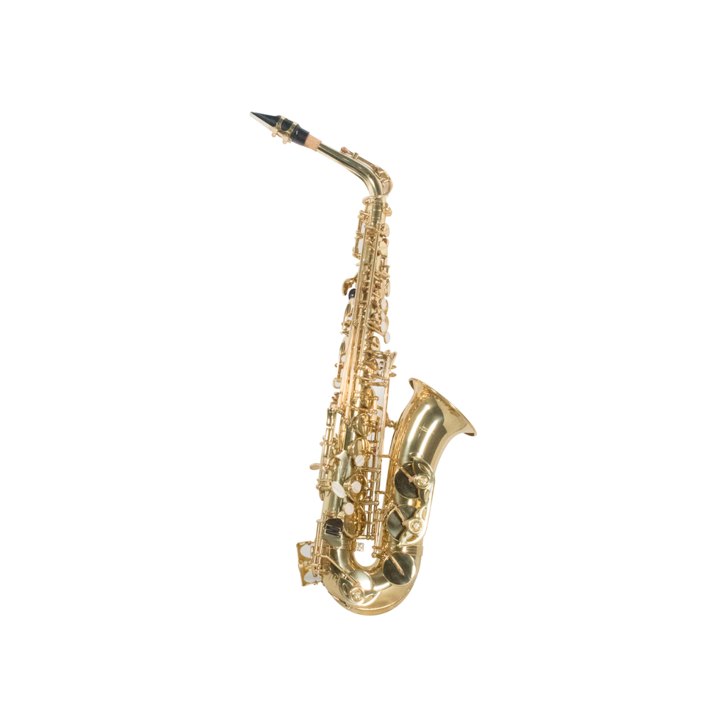 SAXOFON WESNER ALTO SSA1000G  (WESNER) 2853