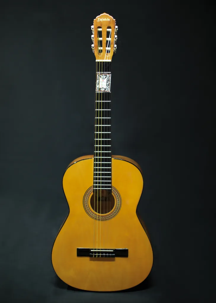 [M09] GUITARRA ACUSTICA (LA ESPAÑOLA) M09