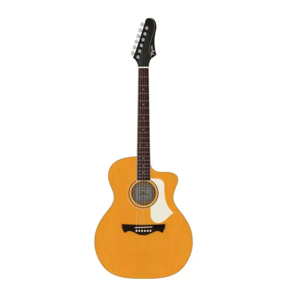 [RIONEGROEQNTABSDF] GUITARRA ELECTROACÚSTICA SERIE LATAM COLOR NATURAL TAPA DE ABETO SÓLIDO Y LATERALES DE AGATIS ACABADO NATURAL. BRAZO DE OKOUME, DIAPASÓN DE MADERA RIONEGROEQNTABSDF (TAGIMA)