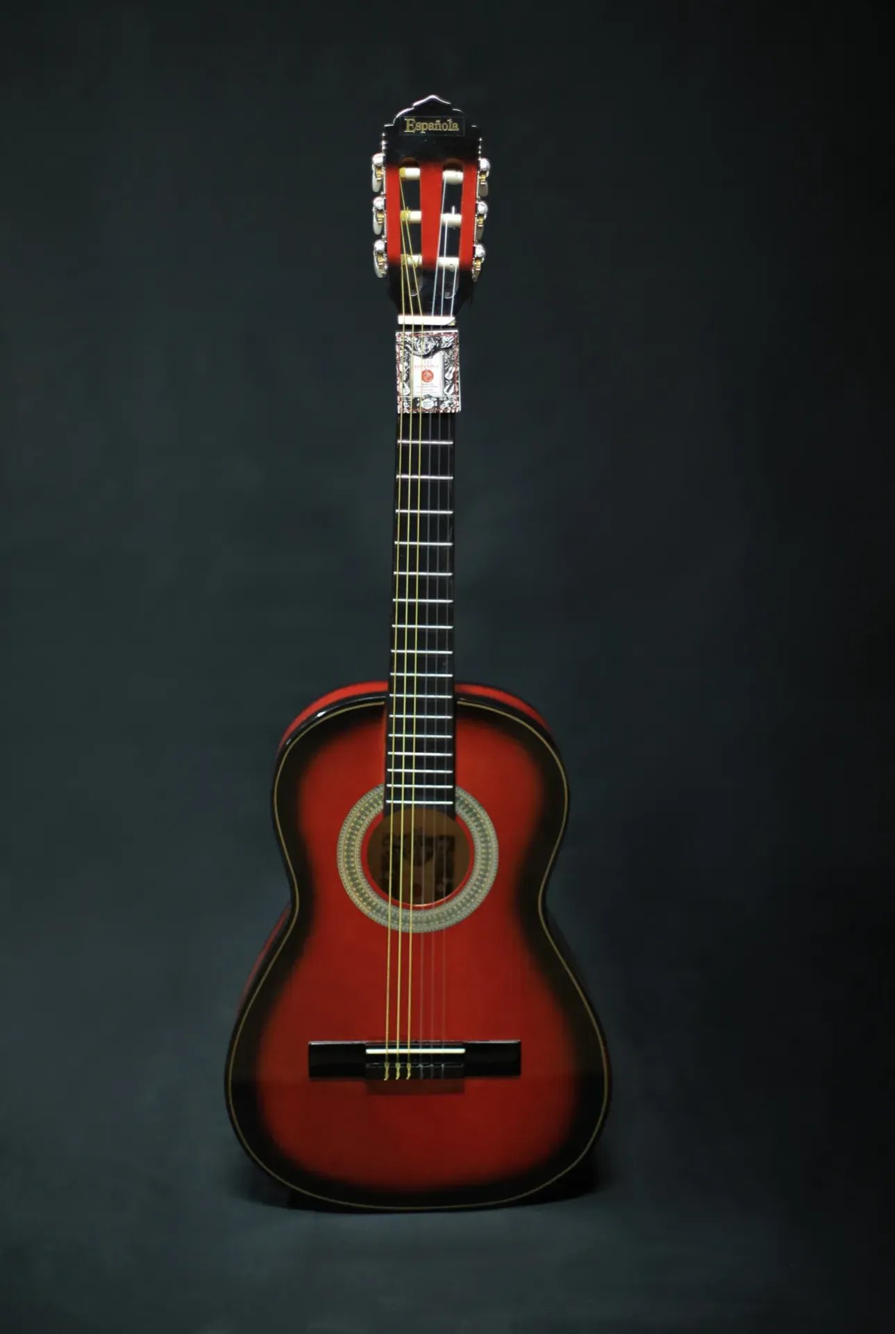 [M09T] GUITARRA ACUSTICA (LA ESPAÑOLA) M09T