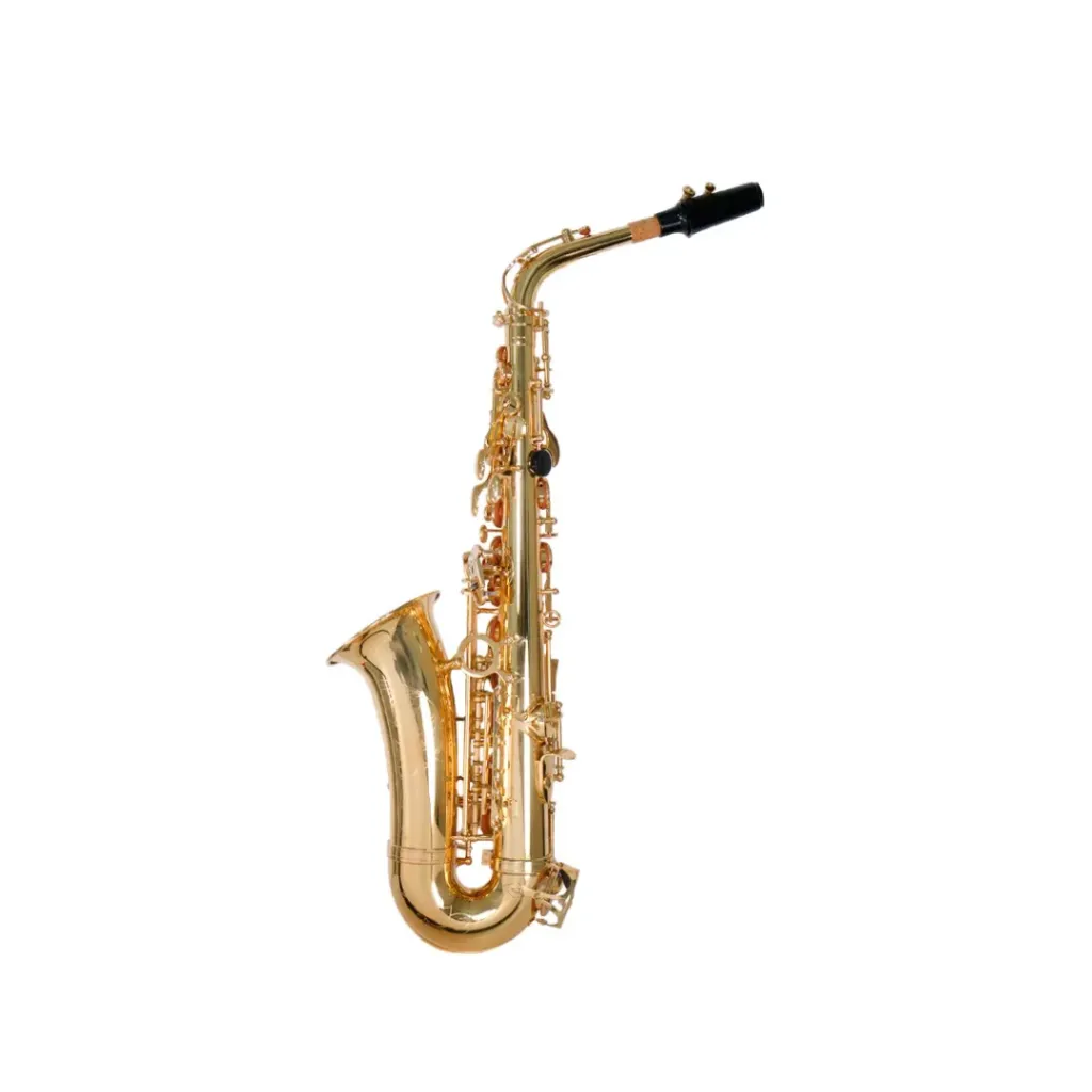 [BAAS100] SAXOFON BENJAMIN ADAMS ALTO MOD. BAAS100